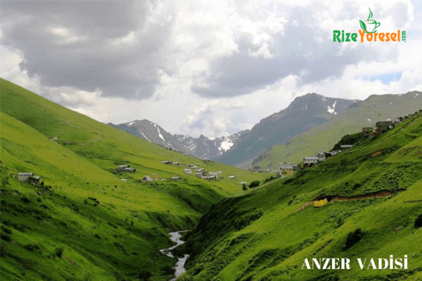 Rize ikizdere anzer yaylası balı