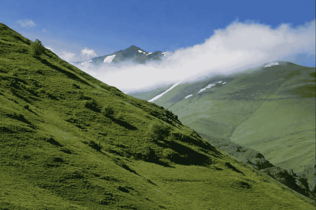 rize anzer balı üretim yerianzer yaylası