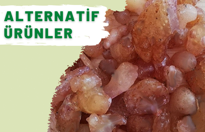 ALTERNATİF
