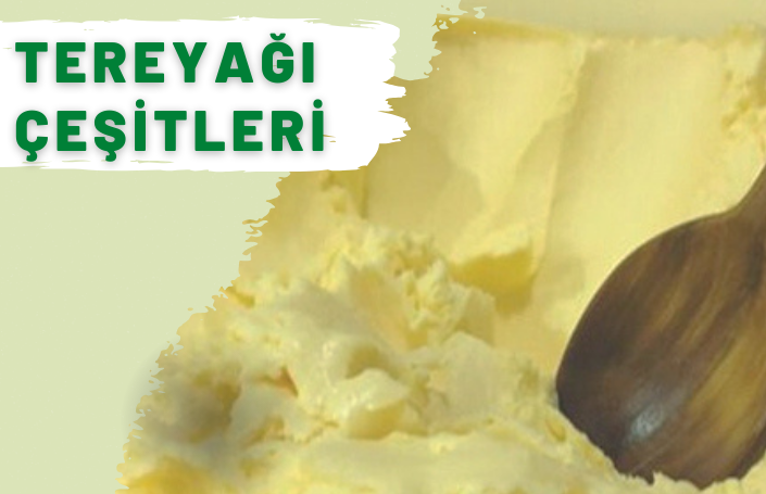 TEREYAĞI