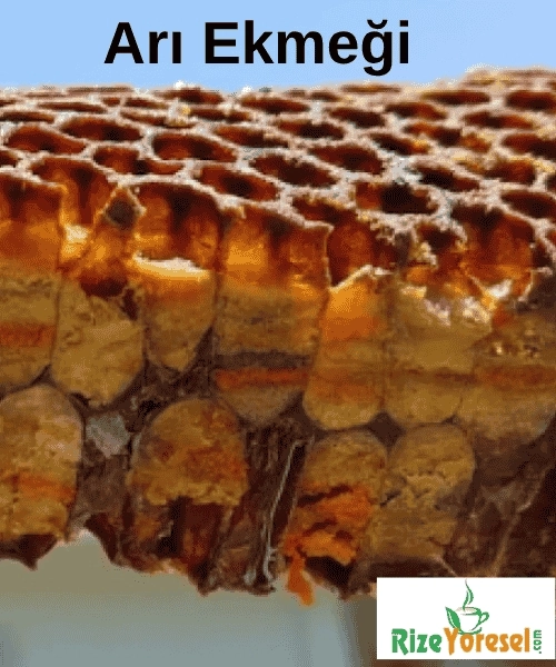 Arı Ekmeği (Perga) 100 g | Kaçkar Dağları’ndan