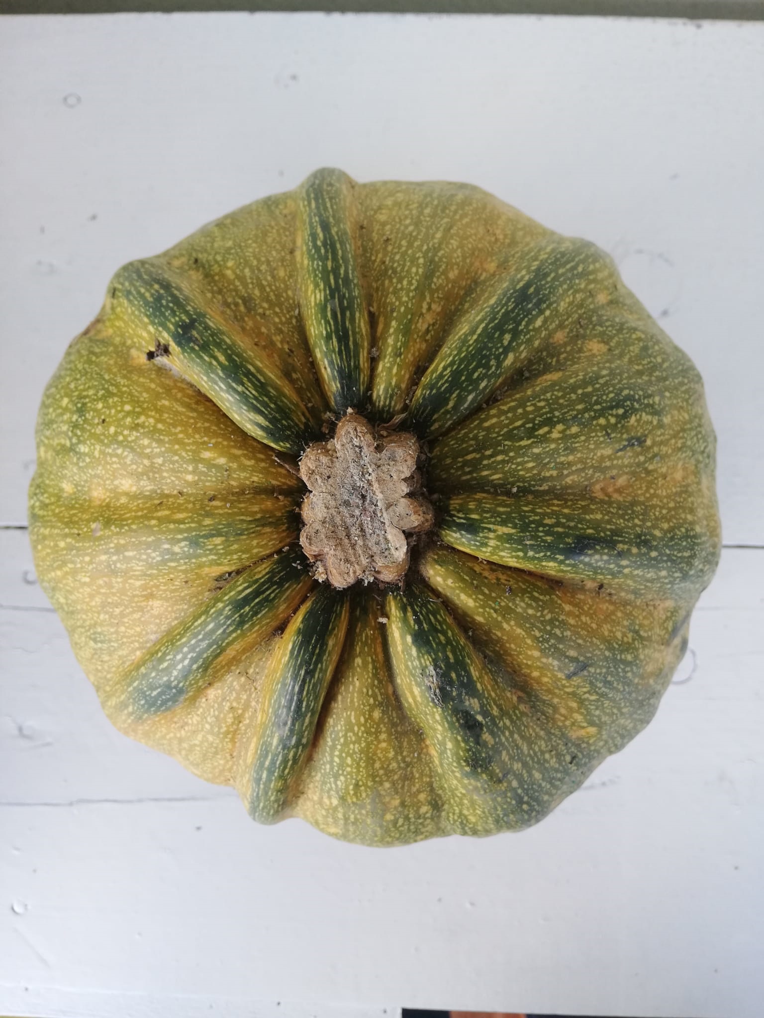 Ata Tohumu Kara Kabak 1 Kg