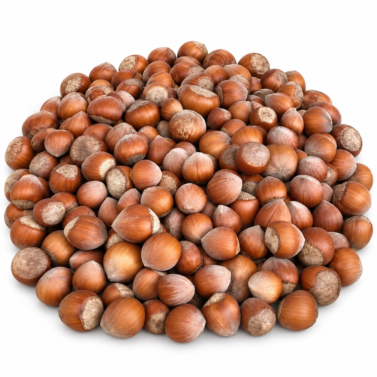 Kabuklu Fındık 1 kg | Doğu Karadeniz Fındığı