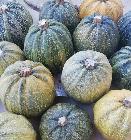 Ata Tohumu Kara Kabak 1 Kg