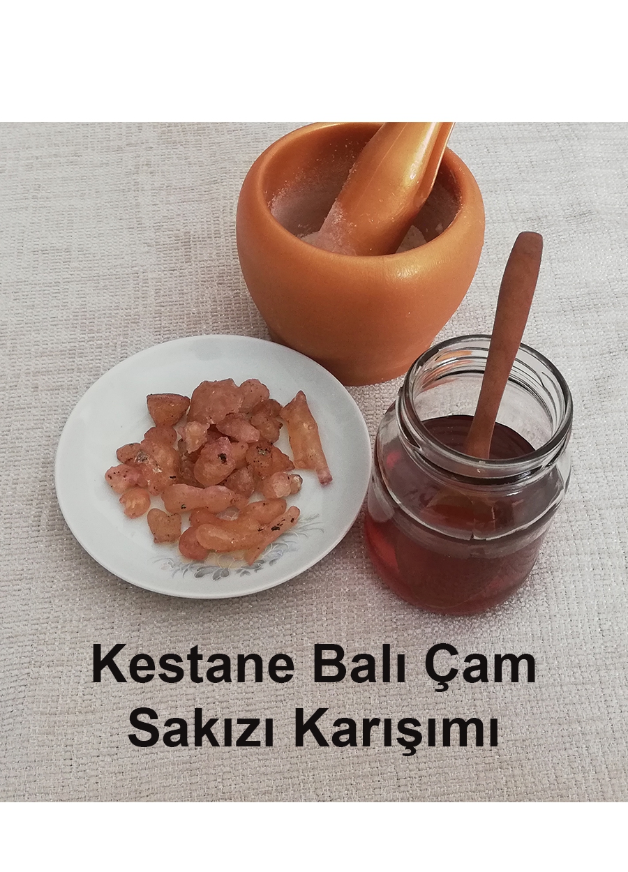 Çam Sakızı Kestane Balı Karışımı 250 g | Sindirim ve Mide İçin Doğal Destek