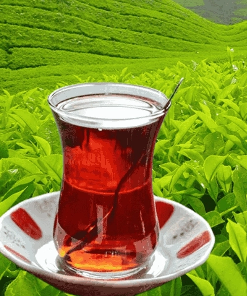 Rize Mayıs Çayı 500 g | İlk Hasat Elek Altı Dökme Siyah Çay