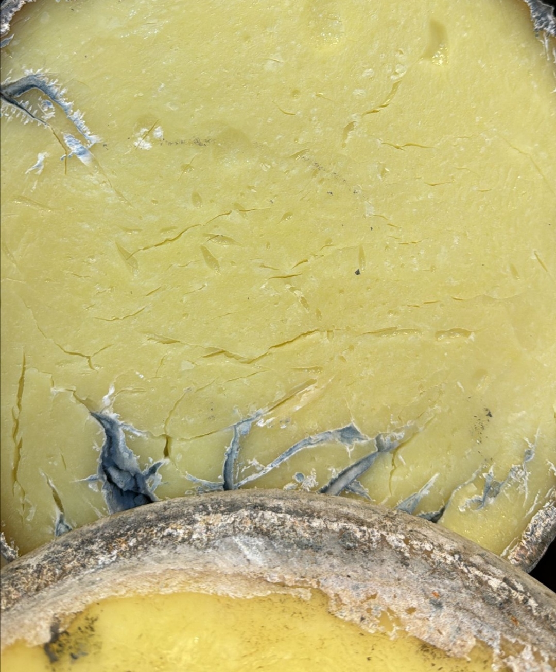 Yayla kolot peyniri 1 Kg