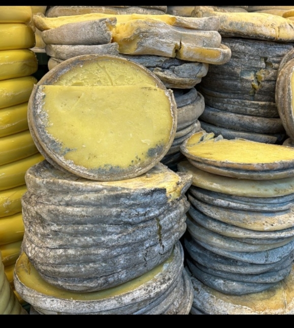 Yayla kolot peyniri 1 Kg