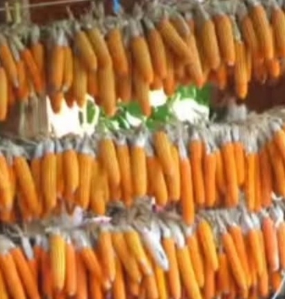 Hakiki Karadeniz Mısır Unu 1 Kg | Taş Değirmen & Yerli Tohum